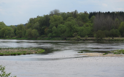 25_NKRP  pauksciu stebejimo aikstele2.jpg